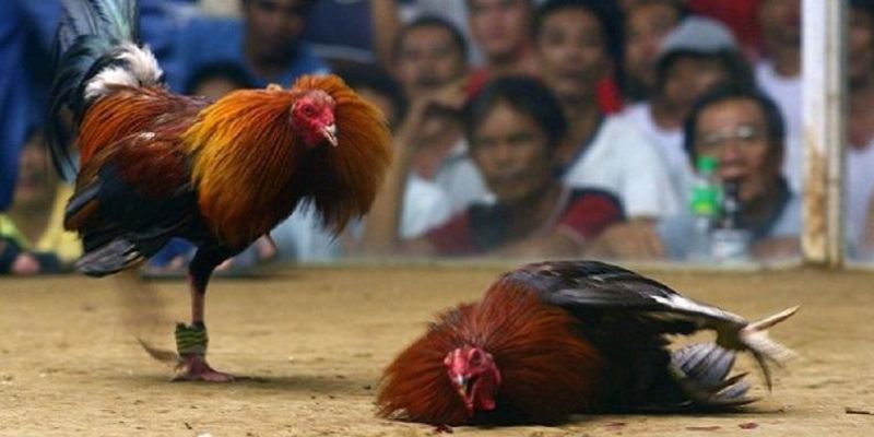 Chọn kèo chuẩn trước khi chơi